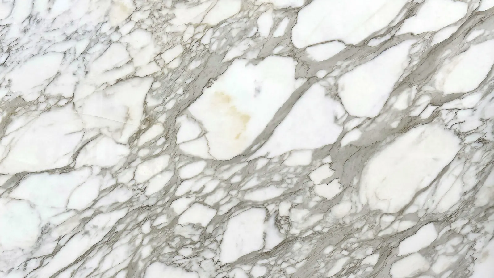 Calacatta Borghini